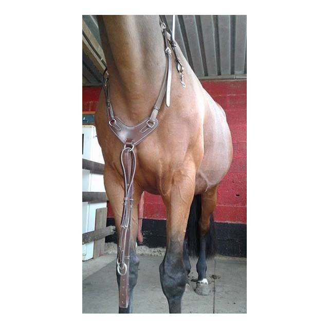 martingale collier de chasse cso neuf