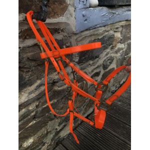 Collier de chasse + bridon BIOTHANE