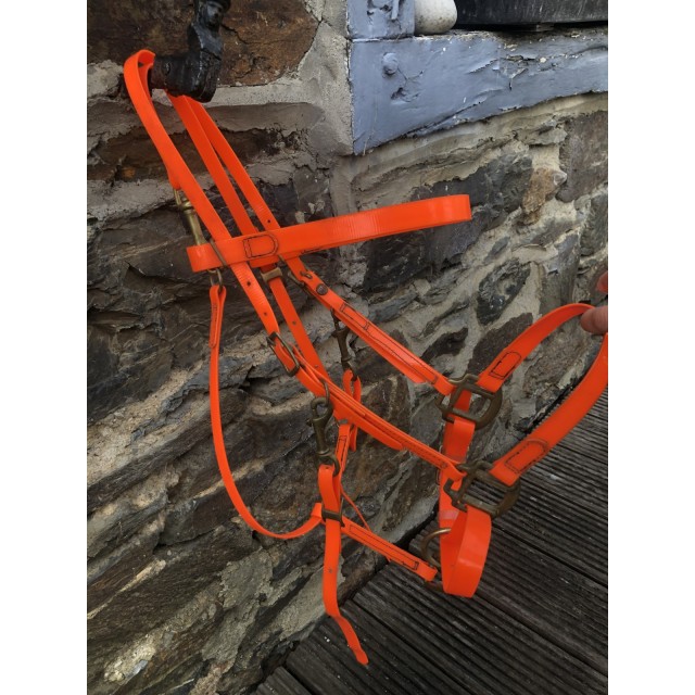 Collier de chasse + bridon BIOTHANE