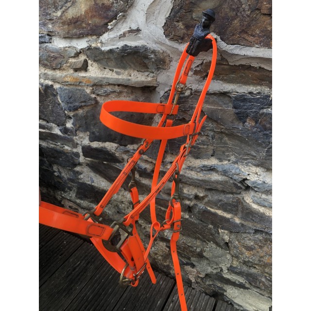 Collier de chasse + bridon BIOTHANE