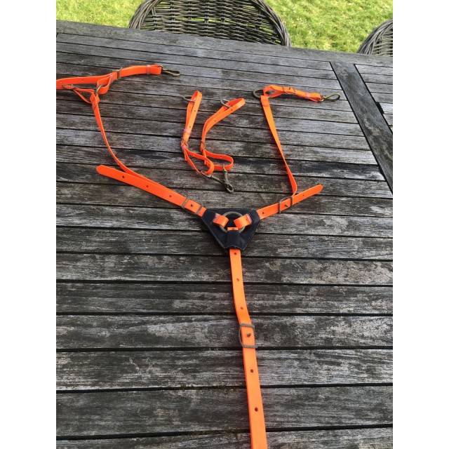 Collier de chasse + bridon BIOTHANE