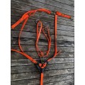 Collier de chasse + bridon BIOTHANE