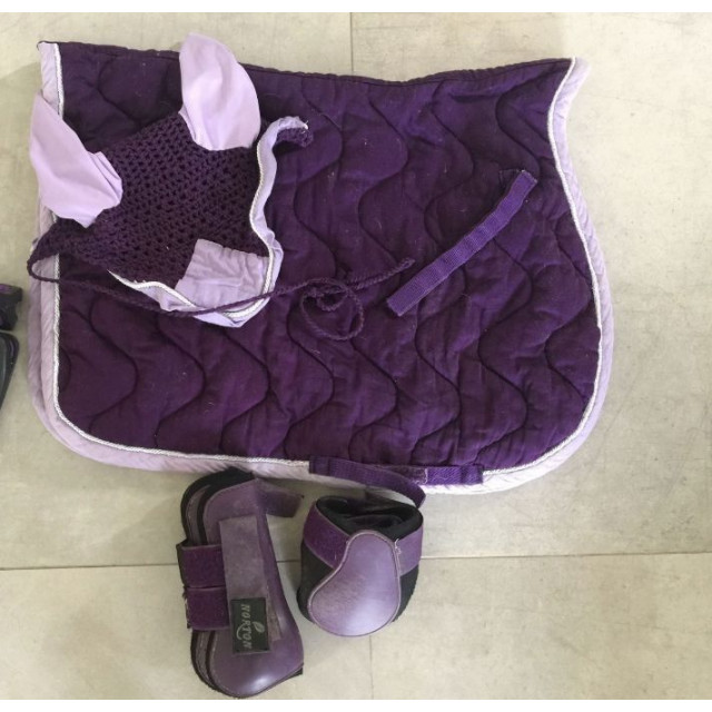 Lot violet d'affaires tapis bonnet licol guêtres protège boulets