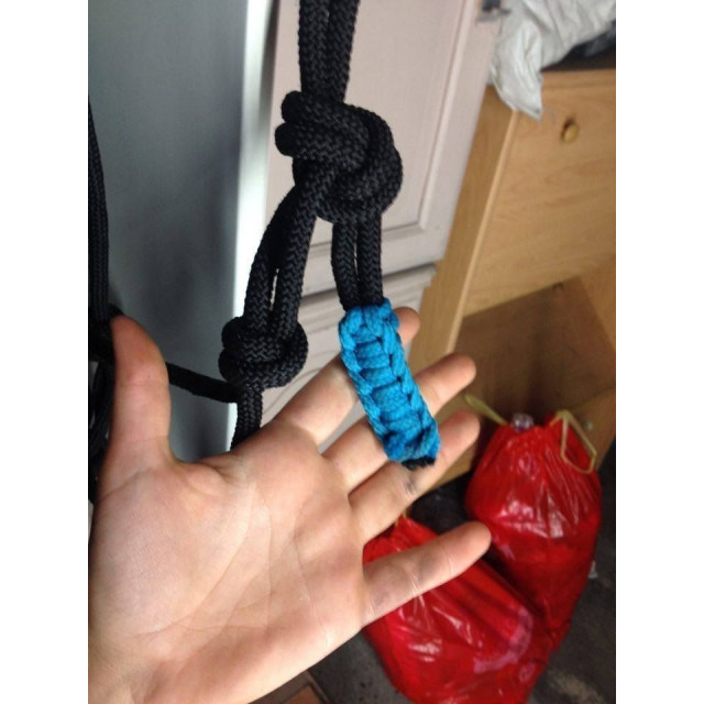 licol ethologique noir et bleu + longe