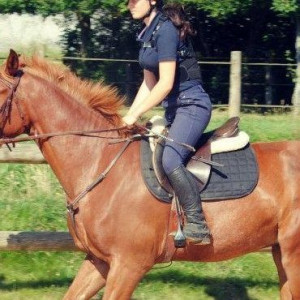 Protection de dos Steeds