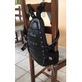 Protection de dos Steeds