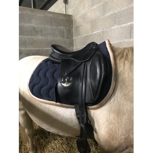 Ensemble paddock sport