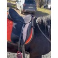 Selle wintec pro Isabell Werth 17.5