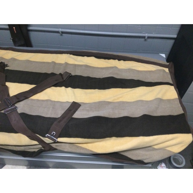 Chemise polaire Equithème