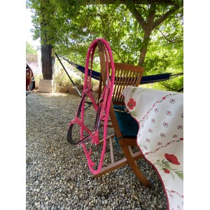 Licol rose fushia avec longe