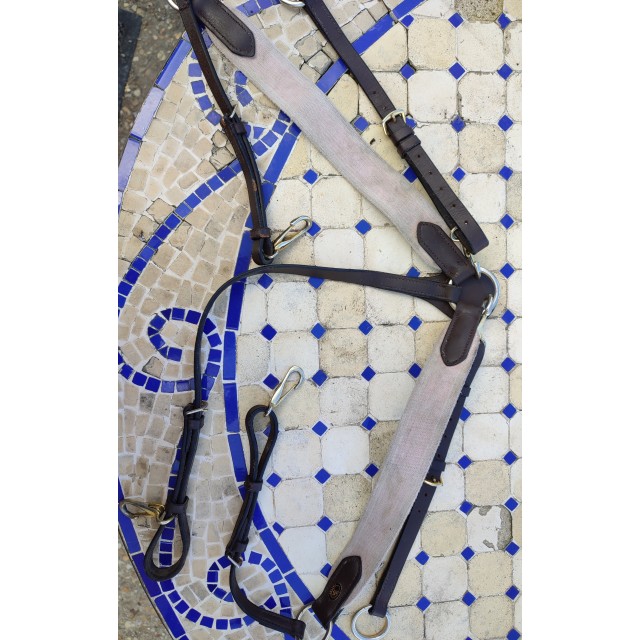 Collier de chasse et martingale amovible