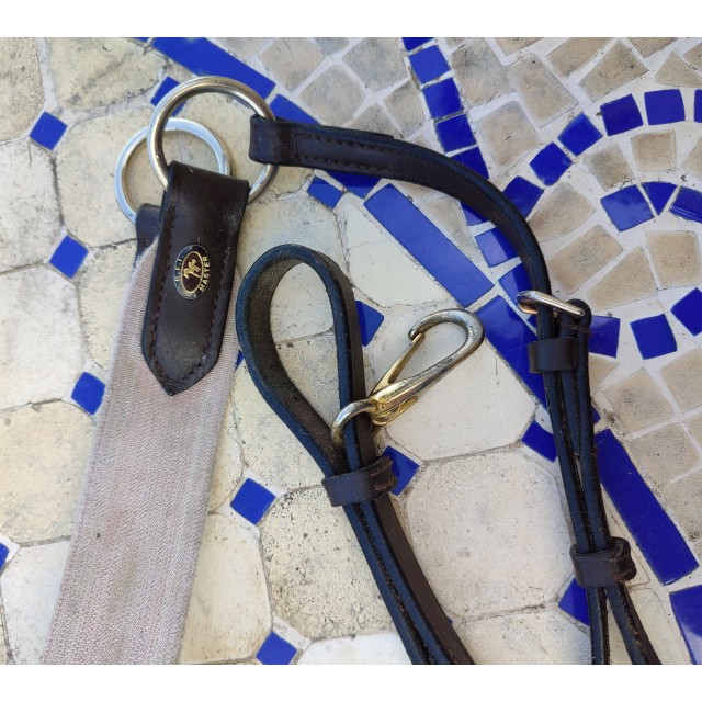 Collier de chasse et martingale amovible