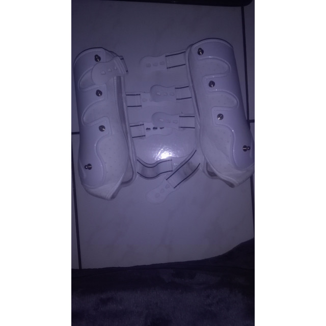 Guêtres Back on track dressage Cob