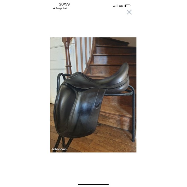 Selle dressage Équipe