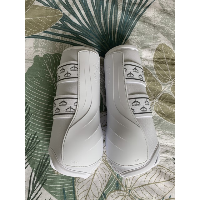 guêtres de dressage veredus absolute