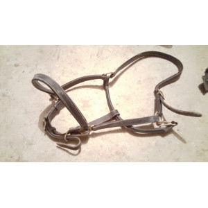 Licol cuir noir T cheval