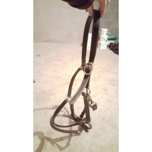 Licol cuir noir T cheval