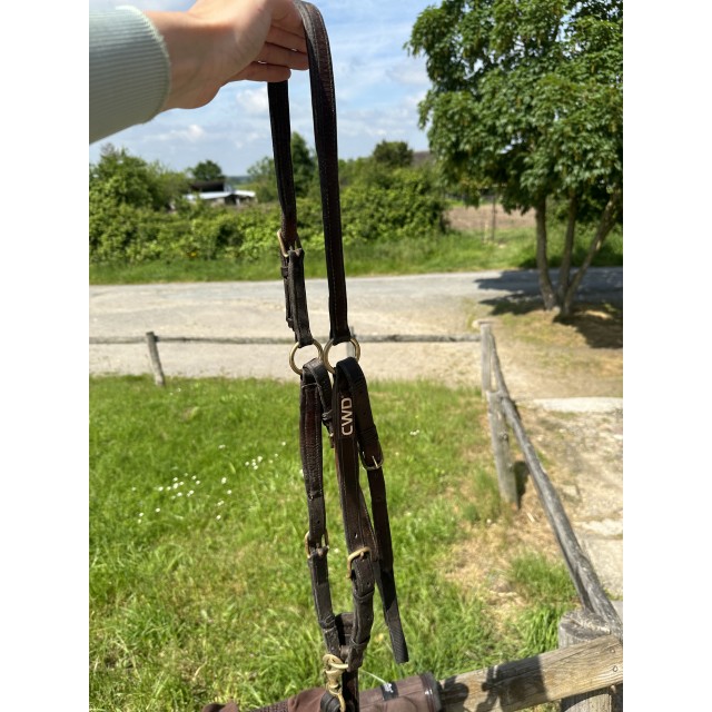 Collier de chasse cwd