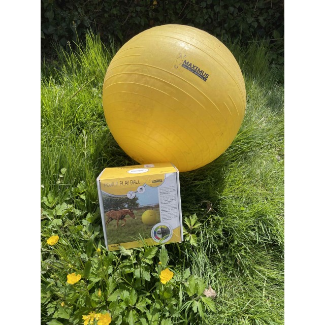 Balle Jaune Power Play Chevaux 75cm