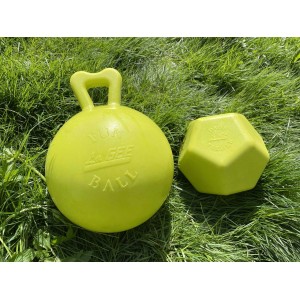 Ballon Fun Ball et Balle à Friandises