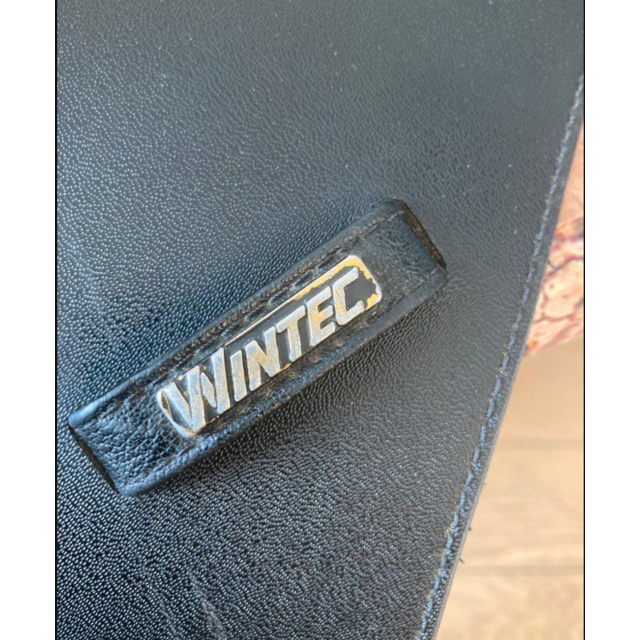 Selle Dressage Wintec 250