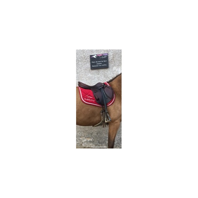 selle équipe monoquartier