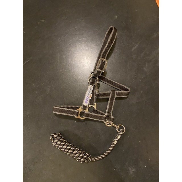 Licol taille Poney Amigo