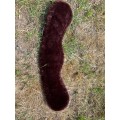 Sangle courte 60cm