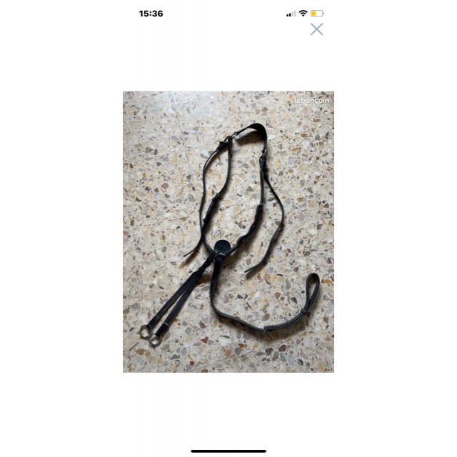 Collier de chasse avec martingale