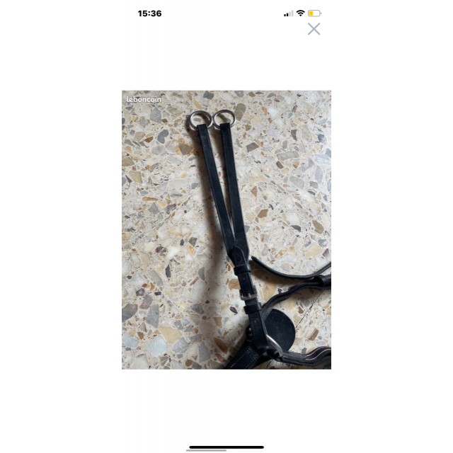 Collier de chasse avec martingale