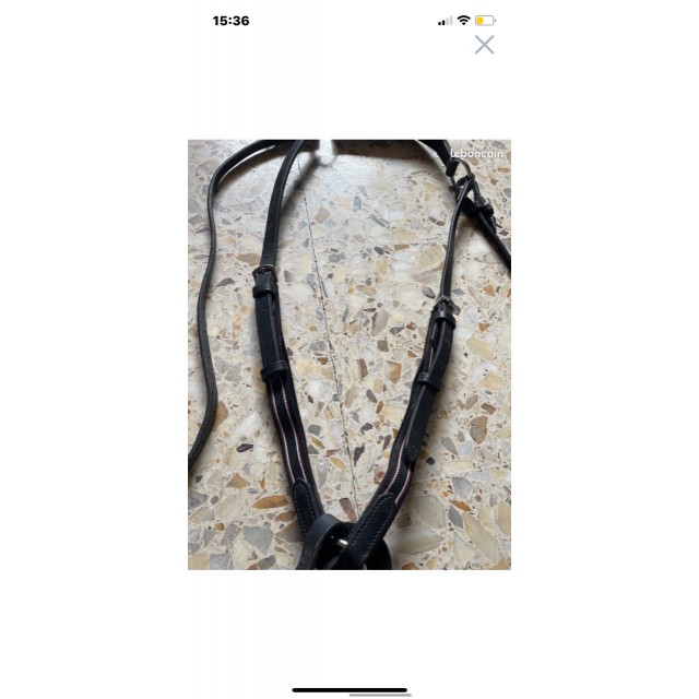 Collier de chasse avec martingale