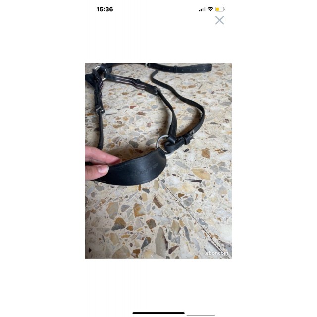 Collier de chasse avec martingale