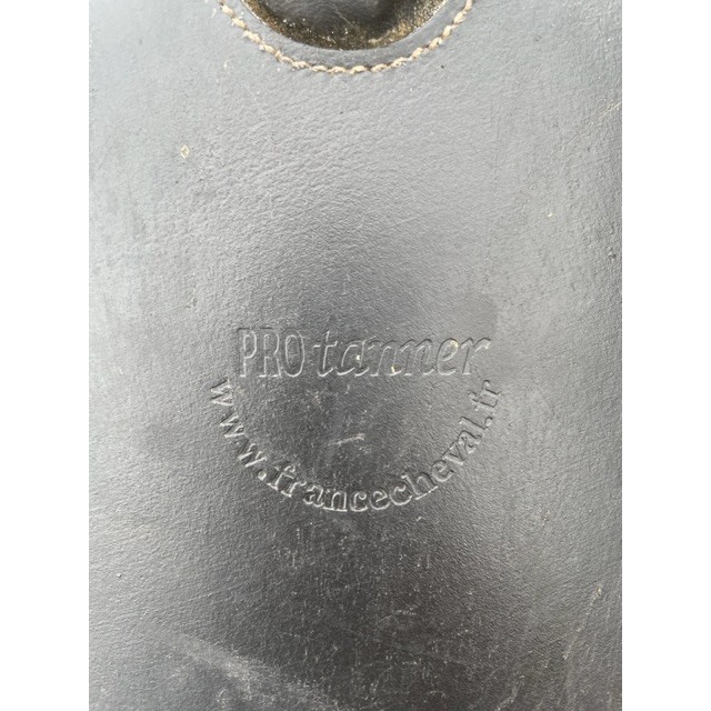 Sangle bavette courte