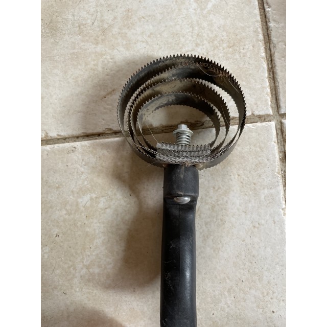 Étrille américaine