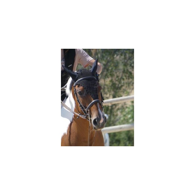 bonnet equithème bleu roi