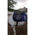 Selle de cso ABELIS