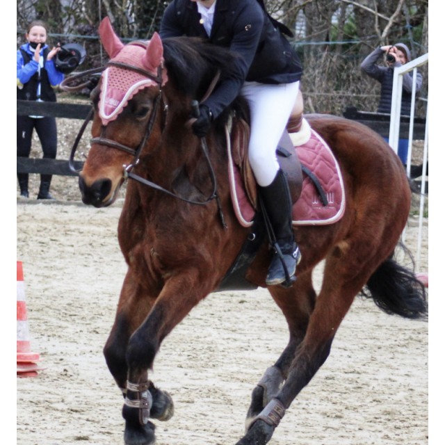 tapis + bonnet wow store CODY vieux rose