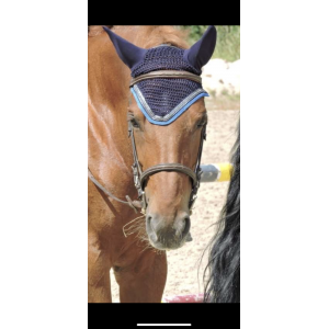 Ensemble Harcour marine