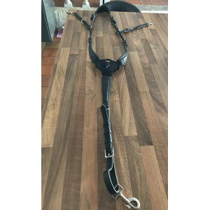 Collier de chasse antares