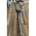 Collier de chasse antares