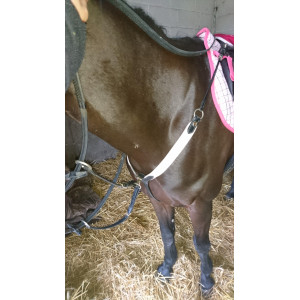 Collier de chasse HFI