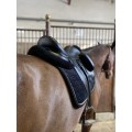 Selle dressage Forestier Aachen