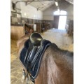 Selle dressage Forestier Aachen
