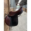 Selle CWD