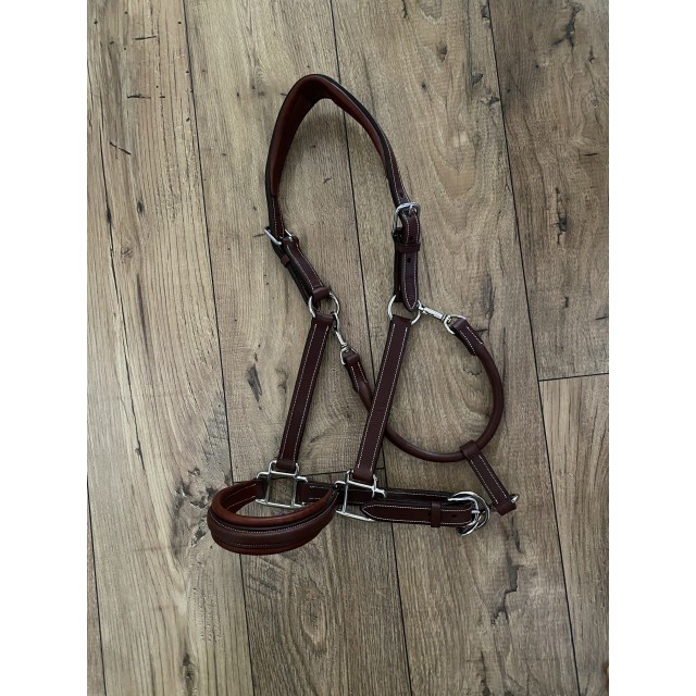 Licol CWD écurie anatomique cuir
