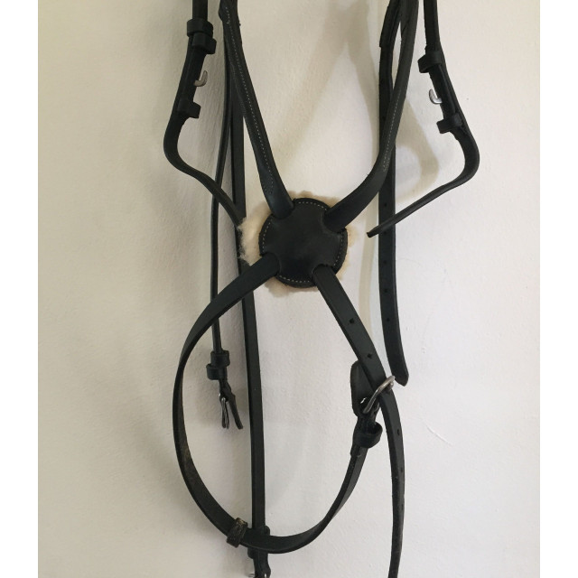 Bridon muserolle croise noir Concorde
