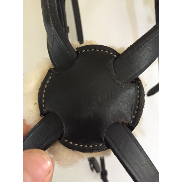 Bridon muserolle croise noir Concorde
