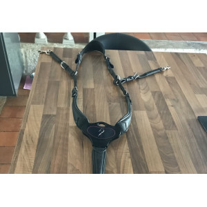 Collier de chasse antares