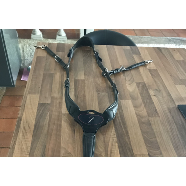 Collier de chasse antares