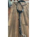 Collier de chasse antares